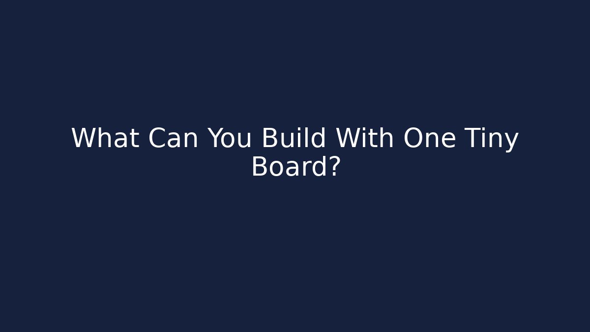 What Can You Build With One Tiny Board?