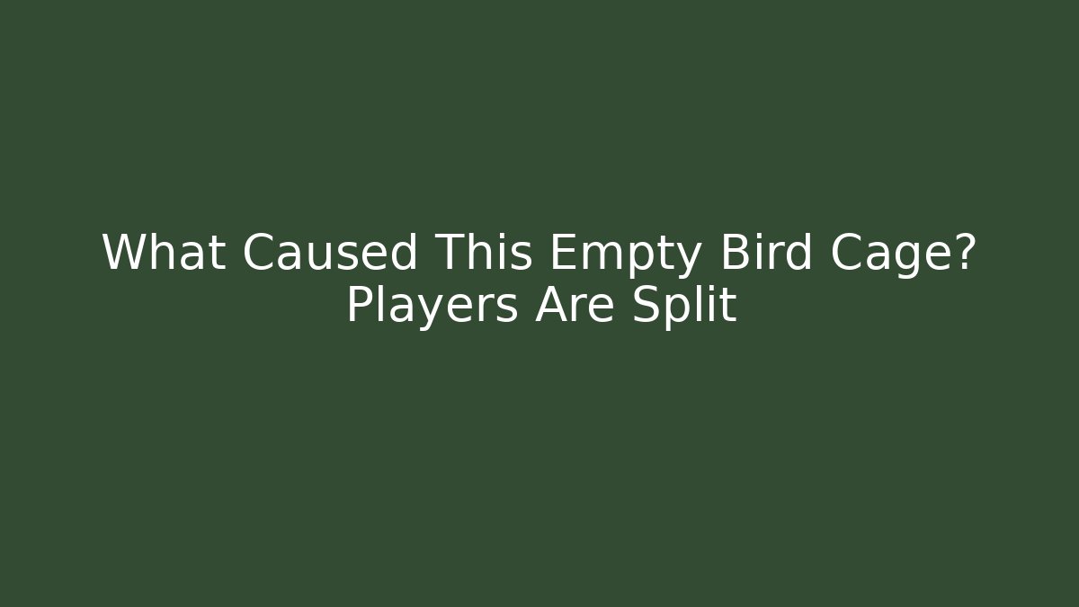 What Caused This Empty Bird Cage? Players Are Split