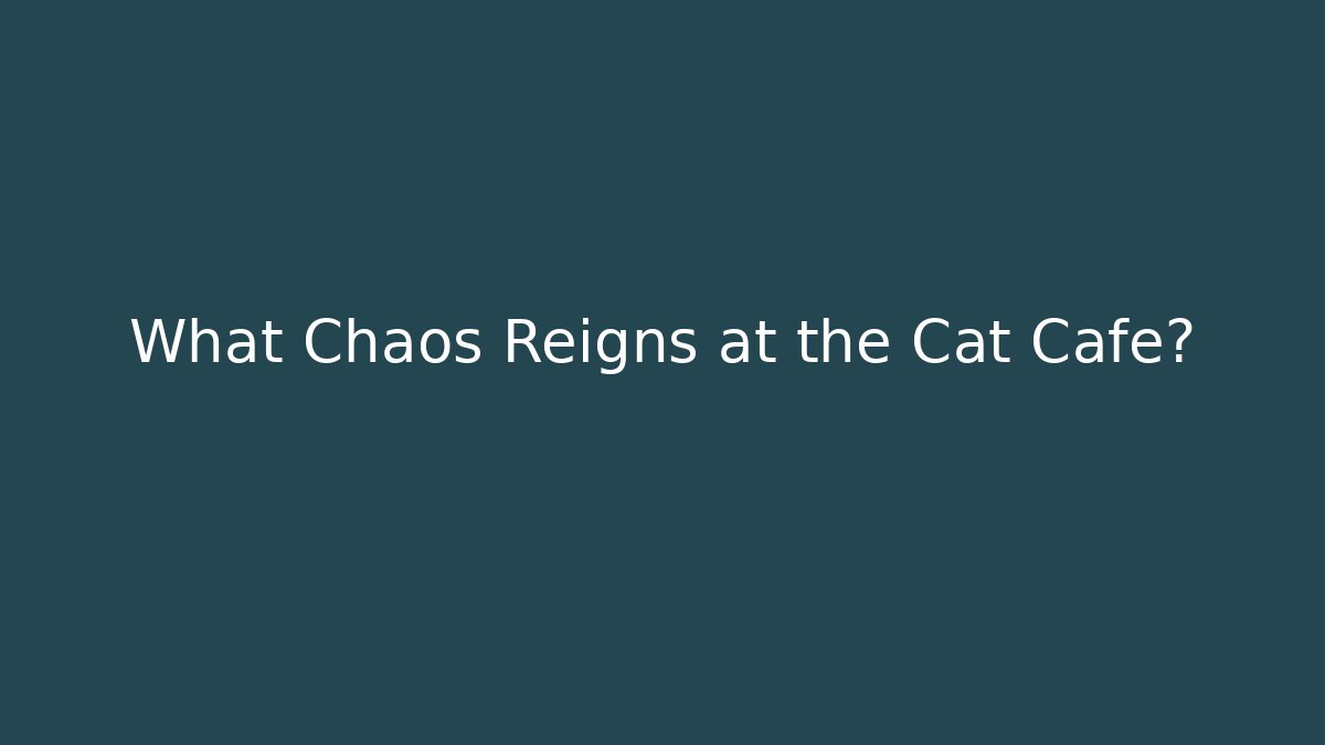 What Chaos Reigns at the Cat Cafe?