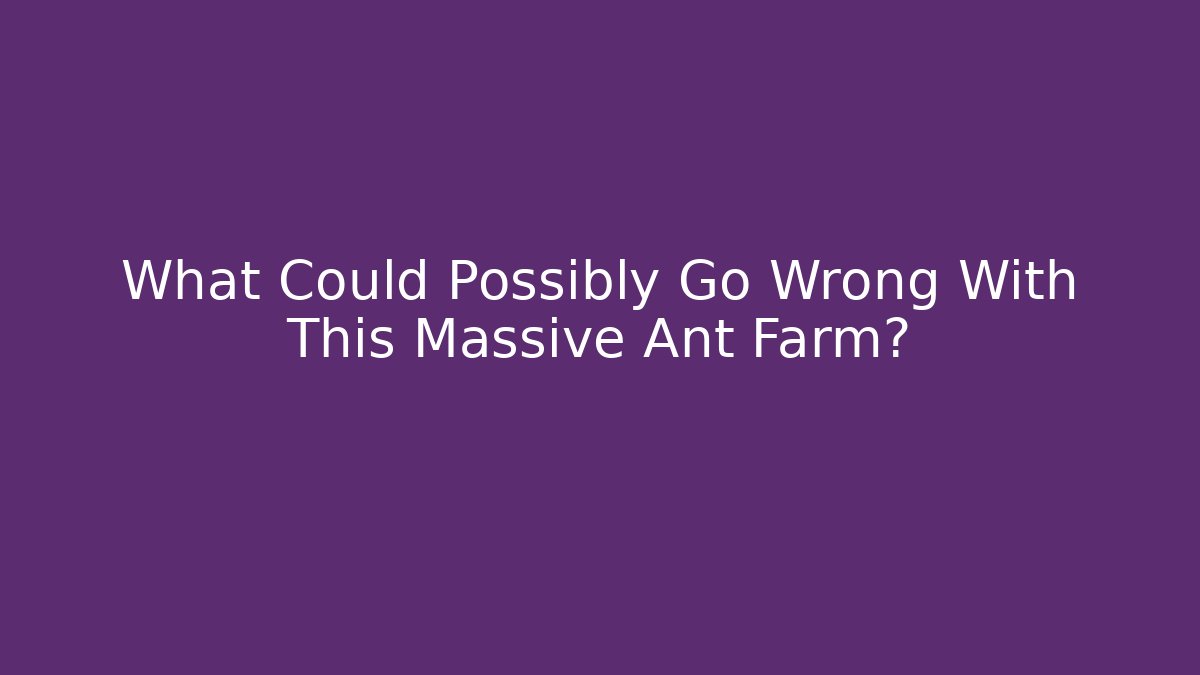 What Could Possibly Go Wrong With This Massive Ant Farm? - Create More Assets
