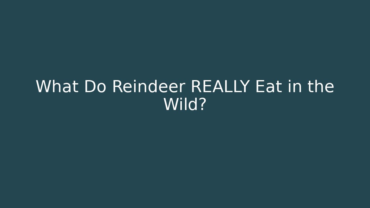 What Do Reindeer REALLY Eat in the Wild?