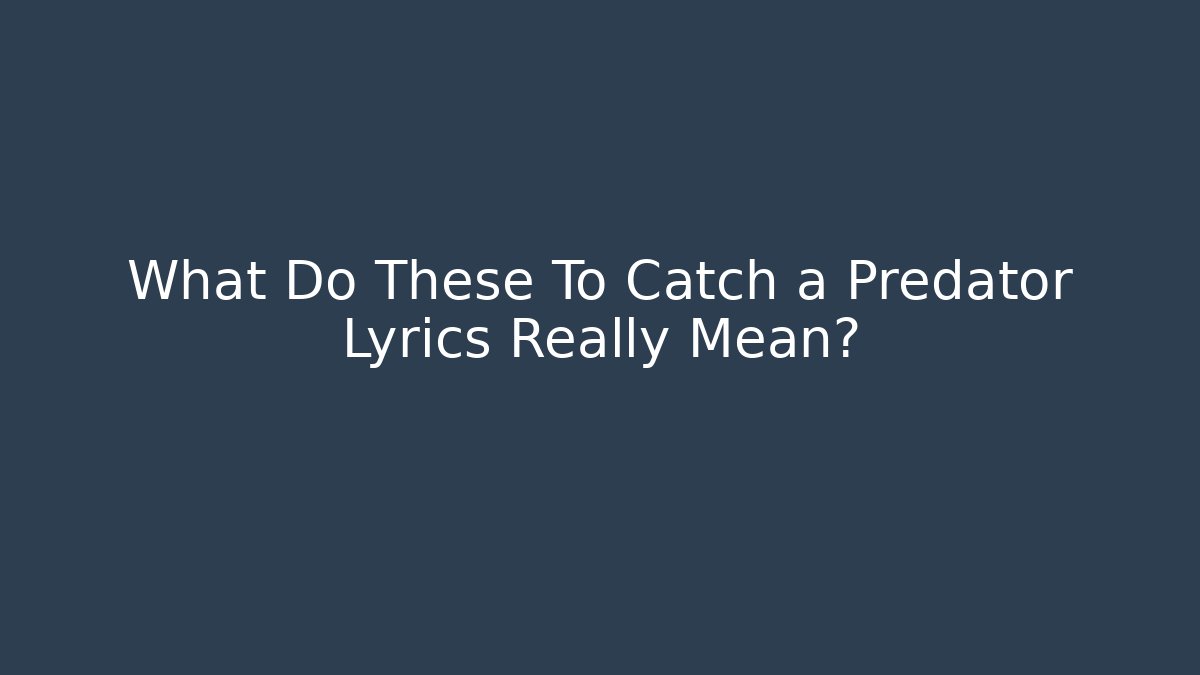 What Do These To Catch a Predator Lyrics Really Mean?