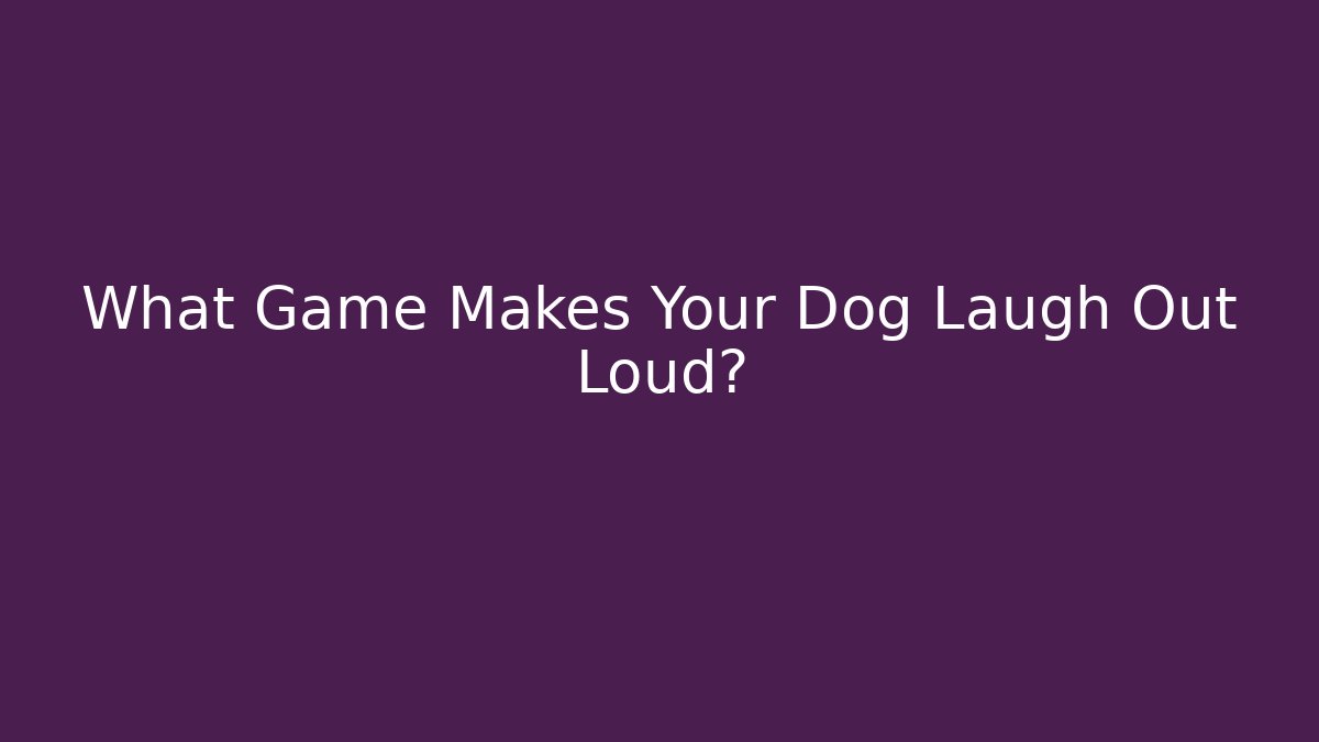 What Game Makes Your Dog Laugh Out Loud?