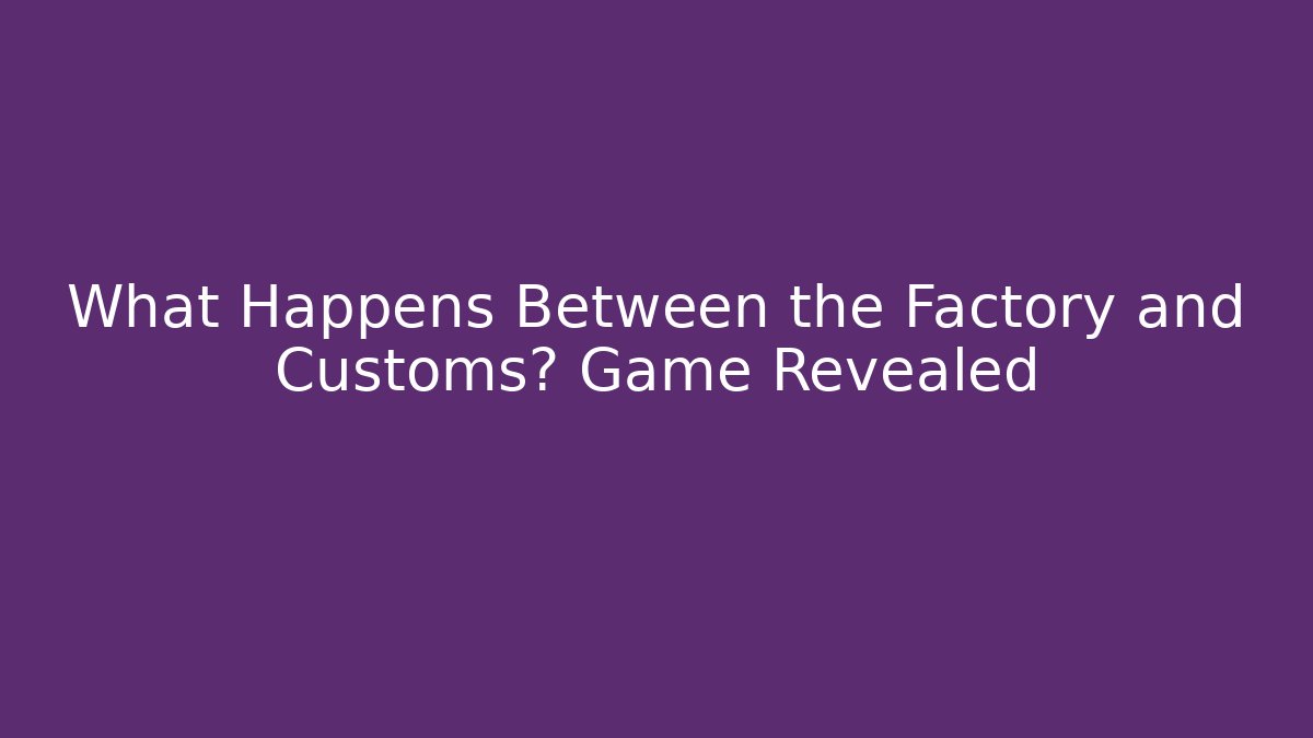 What Happens Between the Factory and Customs? Game Revealed