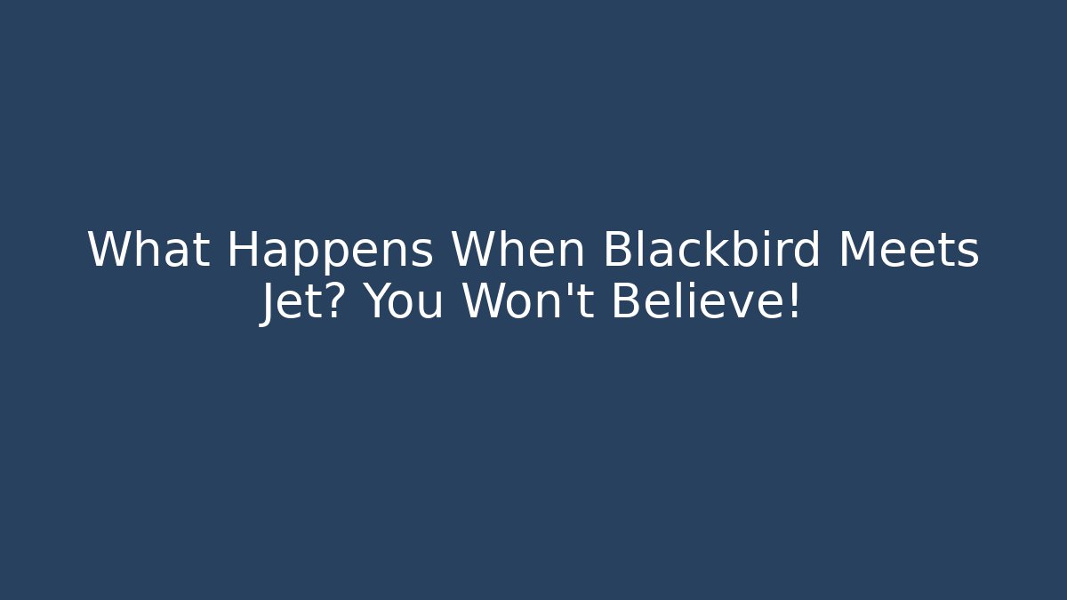 What Happens When Blackbird Meets Jet? You Won't Believe!