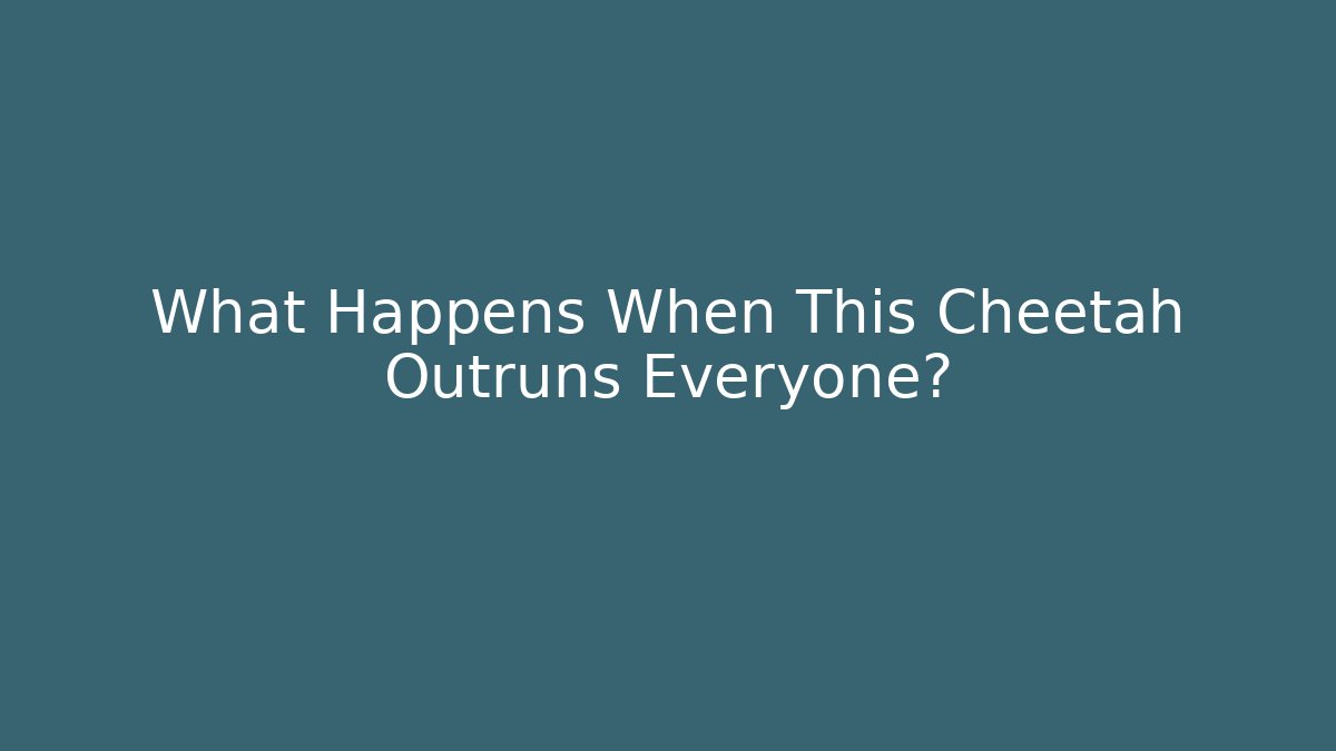 What Happens When This Cheetah Outruns Everyone? - Create More Assets