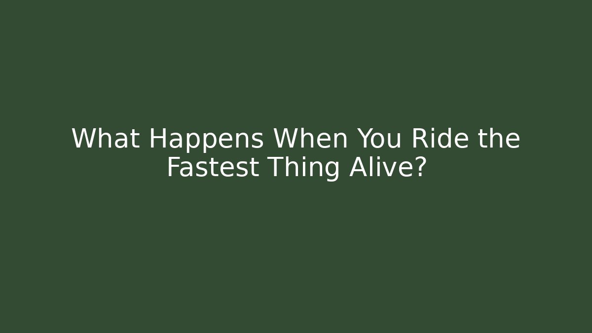 What Happens When You Ride the Fastest Thing Alive?