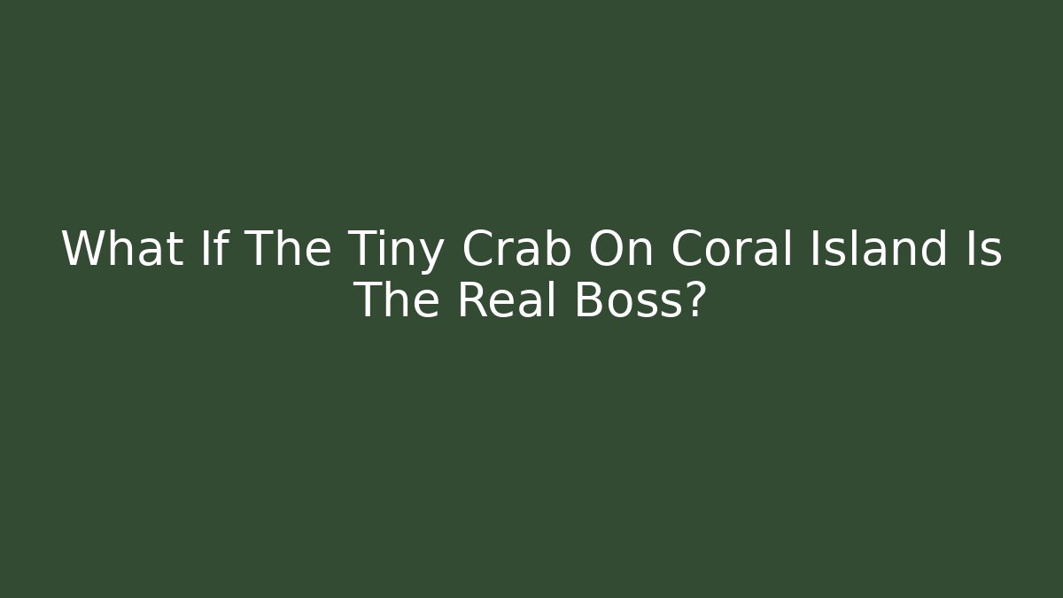 What If The Tiny Crab On Coral Island Is The Real Boss?