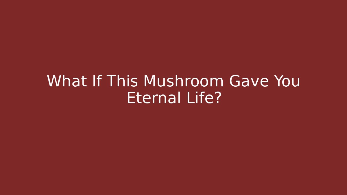 What If This Mushroom Gave You Eternal Life?