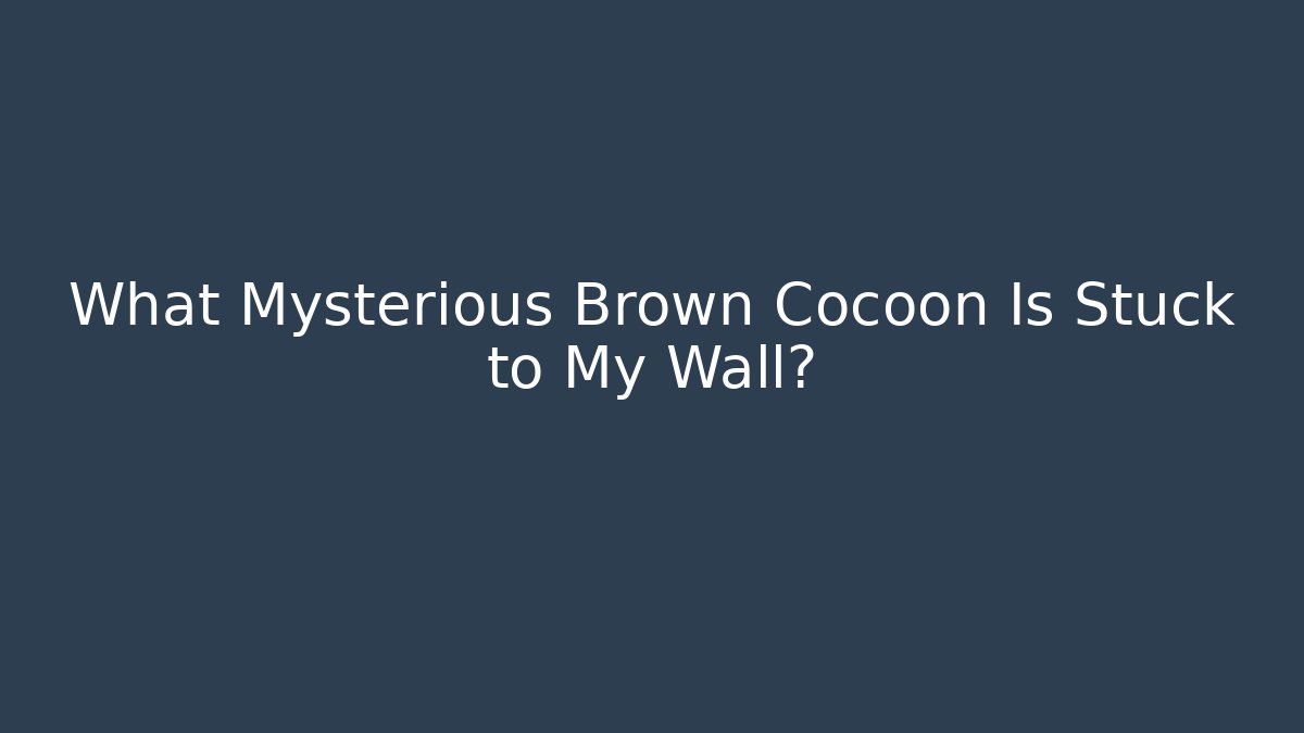 What Mysterious Brown Cocoon Is Stuck to My Wall?