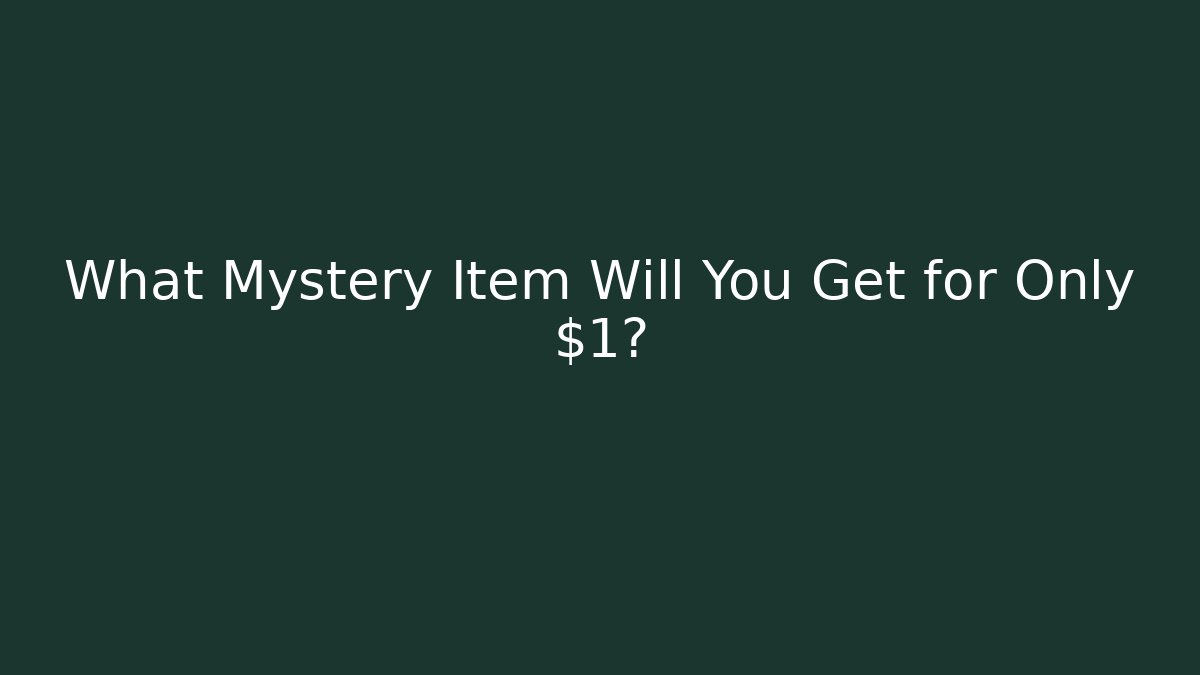 What Mystery Item Will You Get for Only $1?