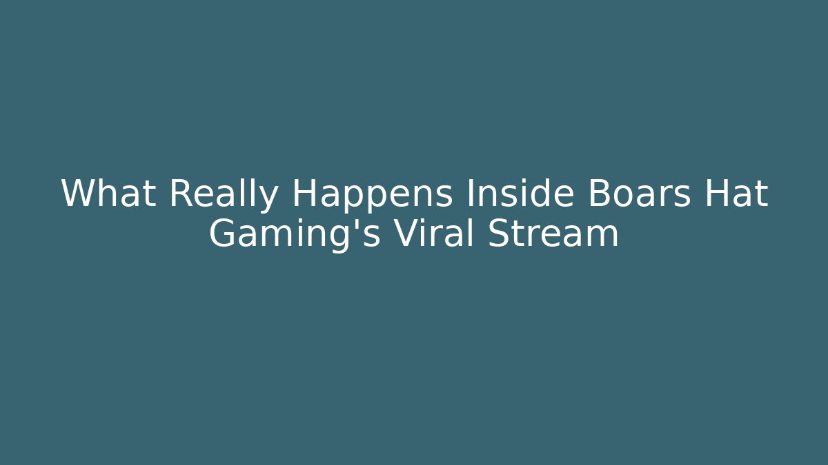 What Really Happens Inside Boars Hat Gaming's Viral Stream - Create More Assets