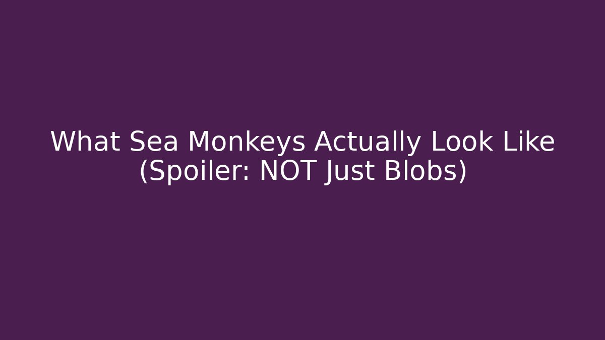 What Sea Monkeys Actually Look Like (Spoiler: NOT Just Blobs)
