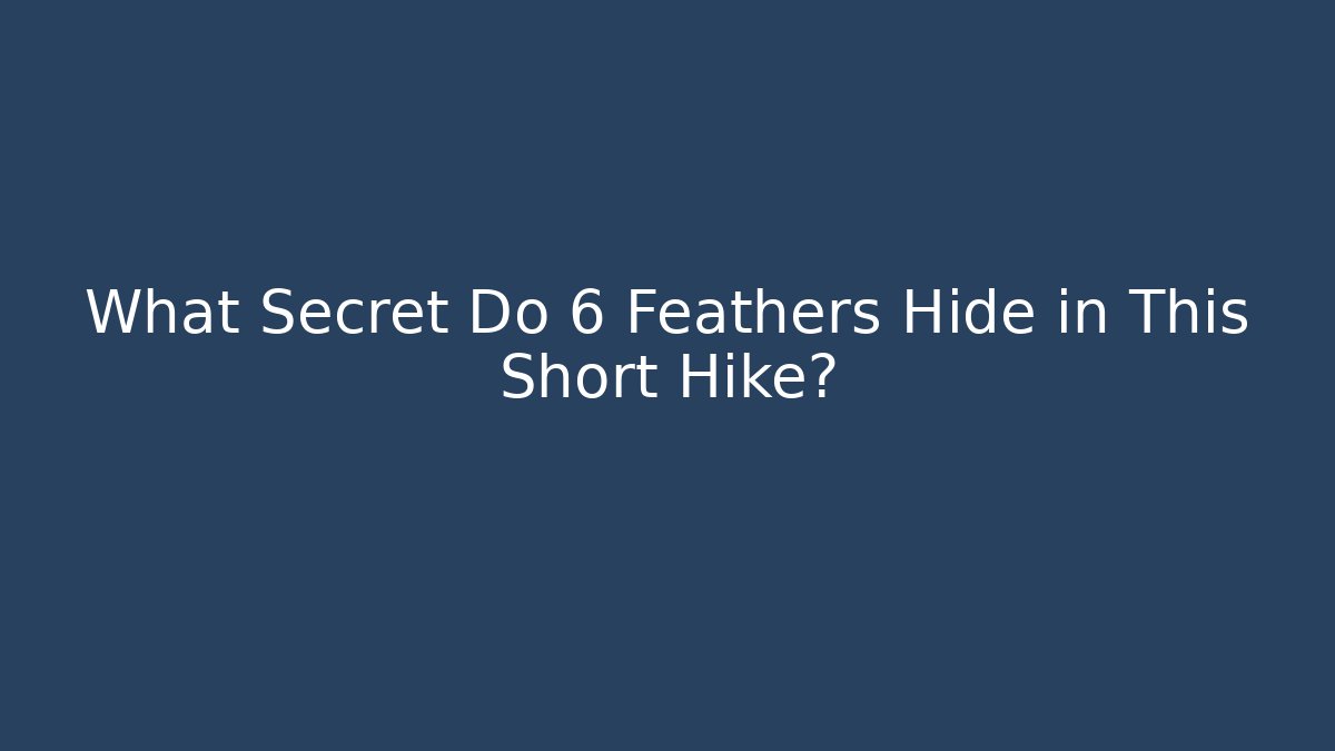 What Secret Do 6 Feathers Hide in This Short Hike?