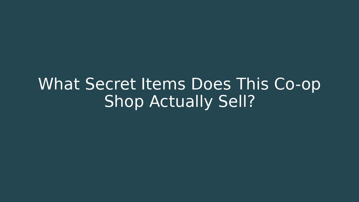 What Secret Items Does This Co-op Shop Actually Sell? - Create More Assets