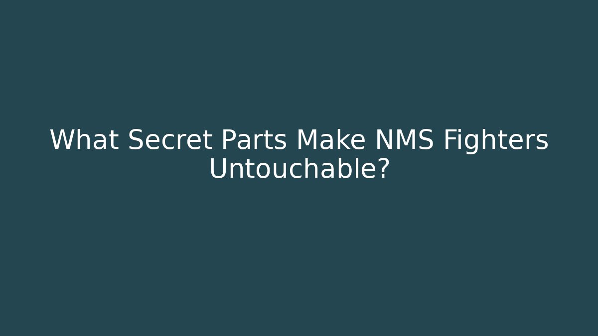 What Secret Parts Make NMS Fighters Untouchable?