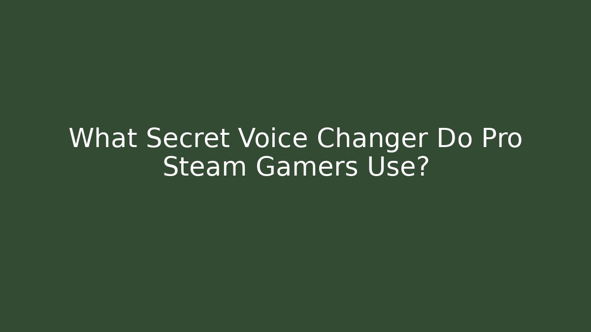 What Secret Voice Changer Do Pro Steam Gamers Use?