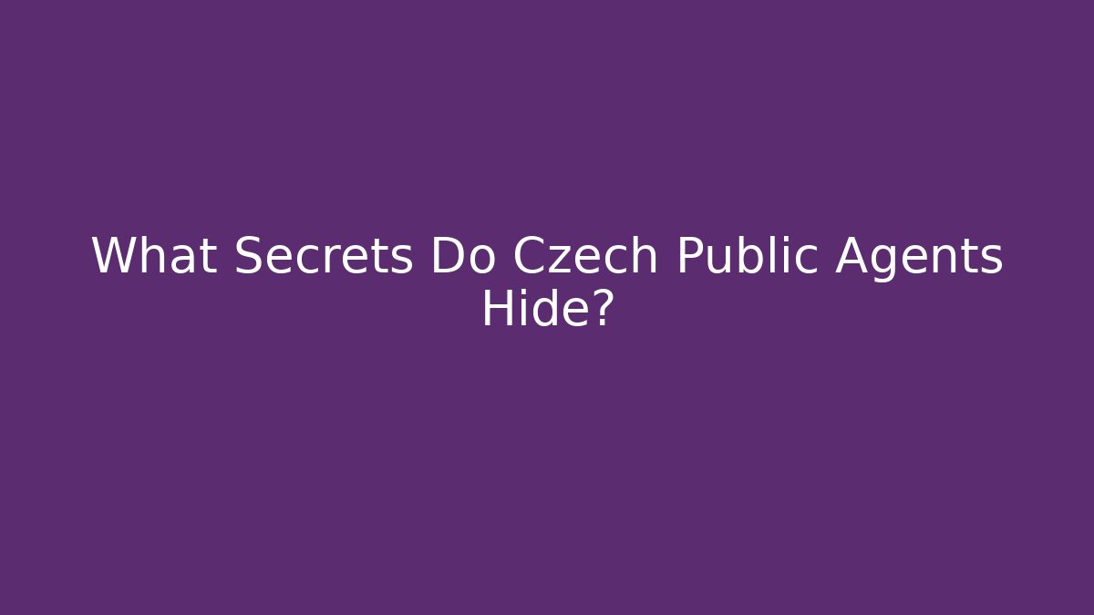 What Secrets Do Czech Public Agents Hide? - Create More Assets