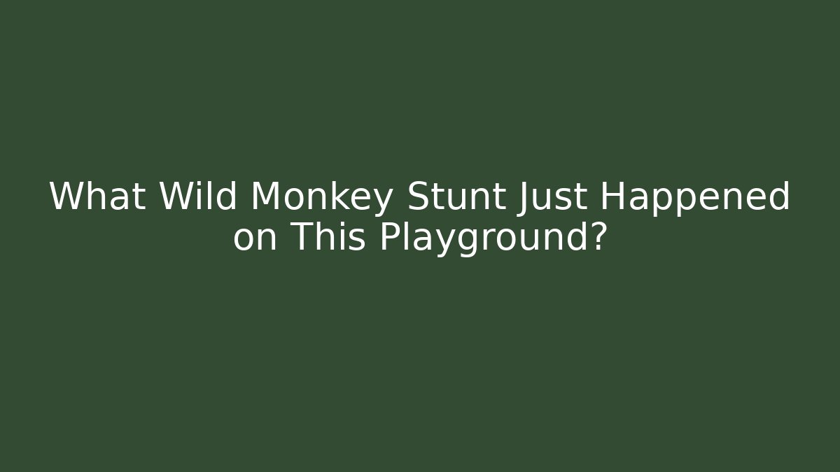 What Wild Monkey Stunt Just Happened on This Playground?