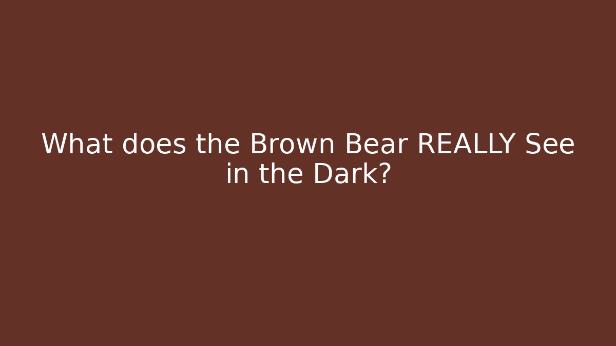 What does the Brown Bear REALLY See in the Dark?