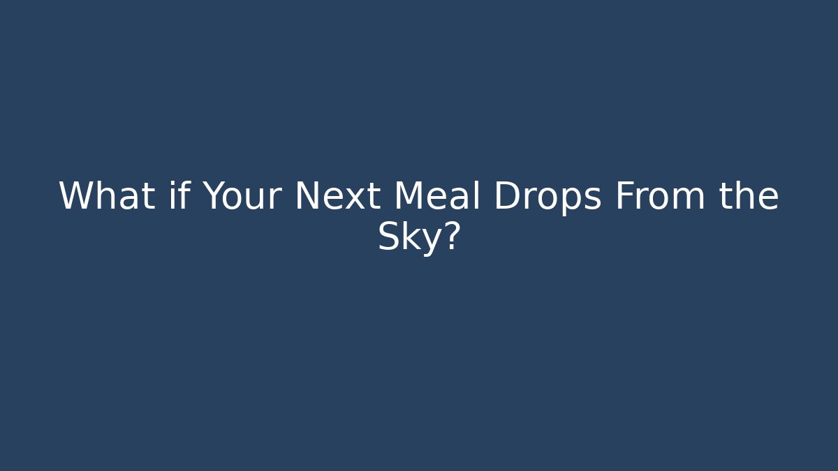 What if Your Next Meal Drops From the Sky?