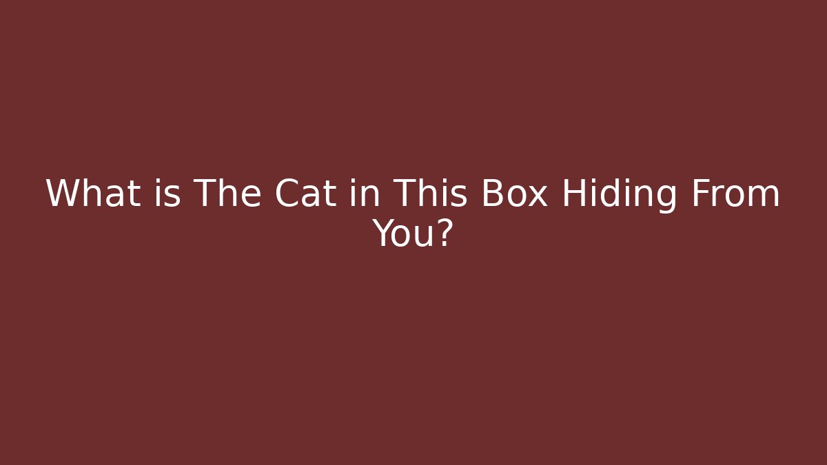 What is The Cat in This Box Hiding From You? - Create More Assets
