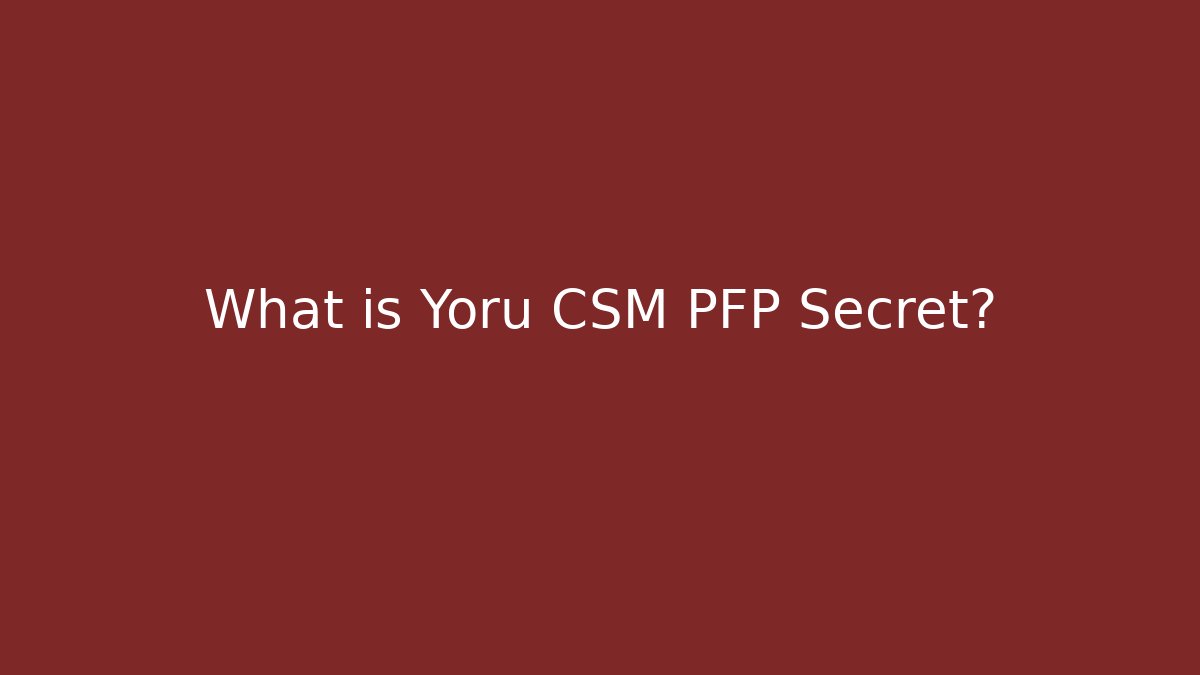 What is Yoru CSM PFP Secret?