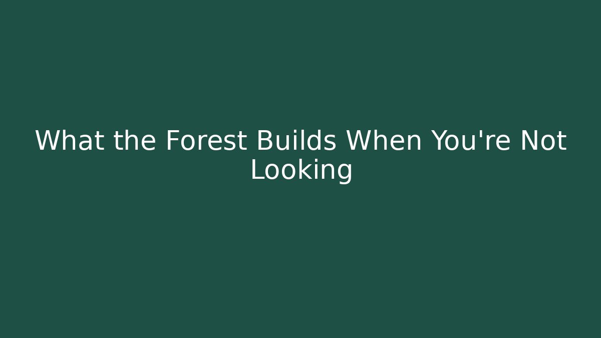 What the Forest Builds When You're Not Looking