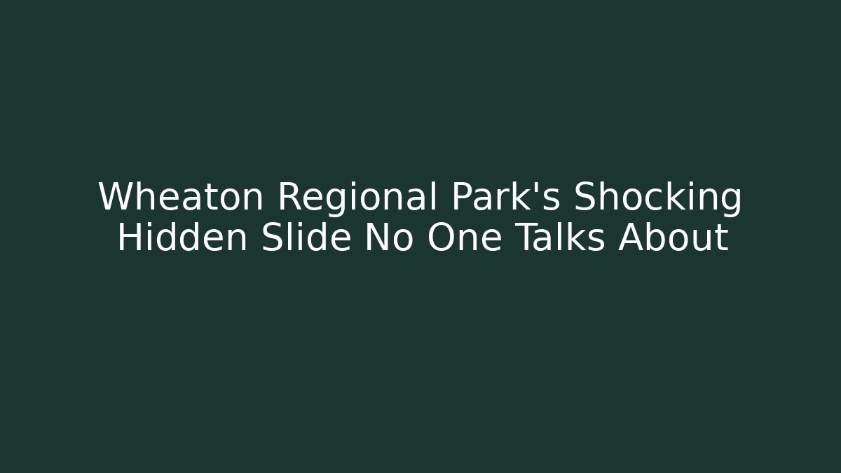Wheaton Regional Park's Shocking Hidden Slide No One Talks About - Create More Assets