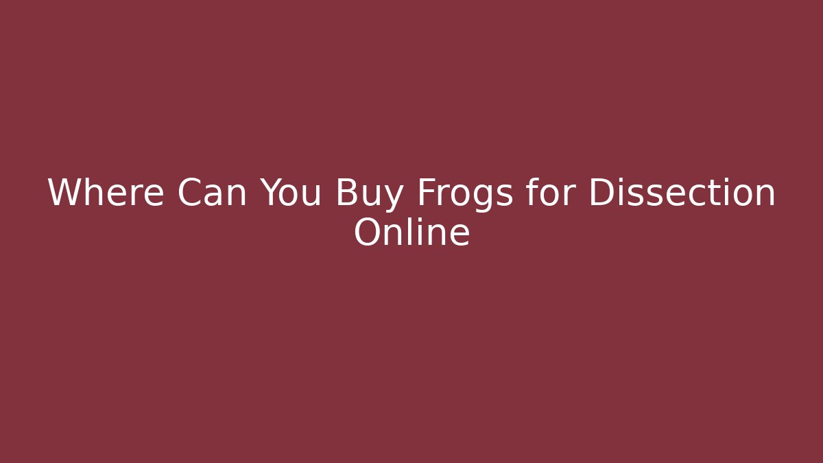 Where Can You Buy Frogs for Dissection Online - Create More Assets