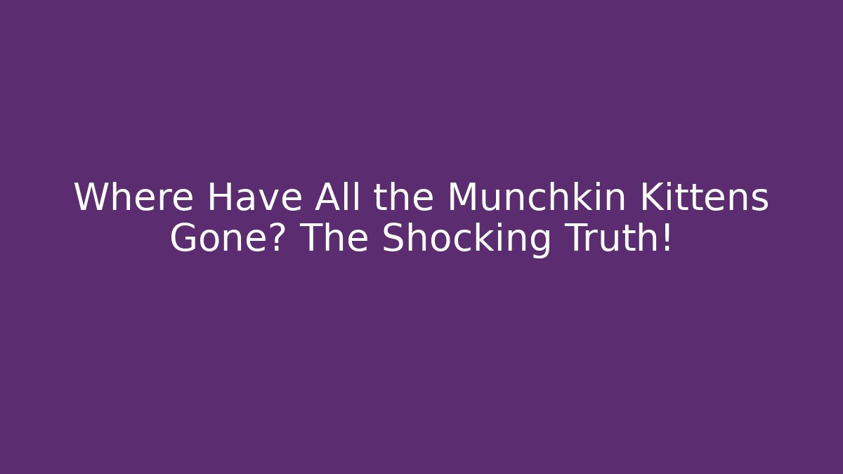 Where Have All the Munchkin Kittens Gone? The Shocking Truth!