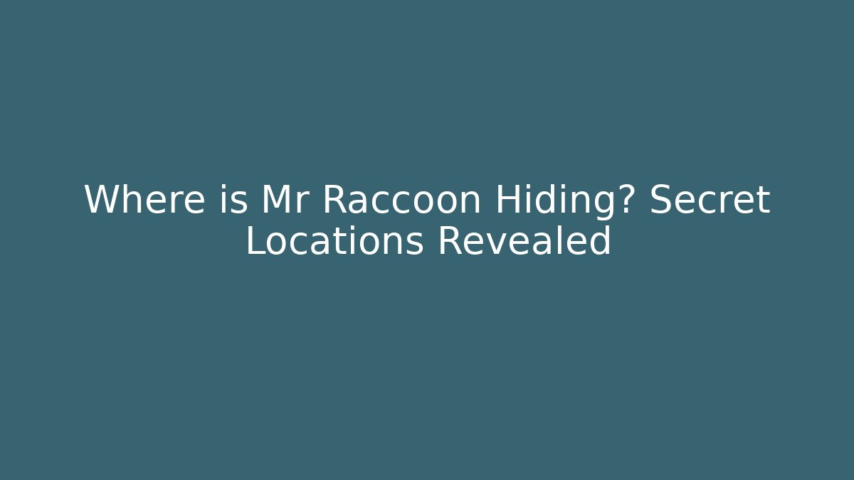 Where is Mr Raccoon Hiding? Secret Locations Revealed