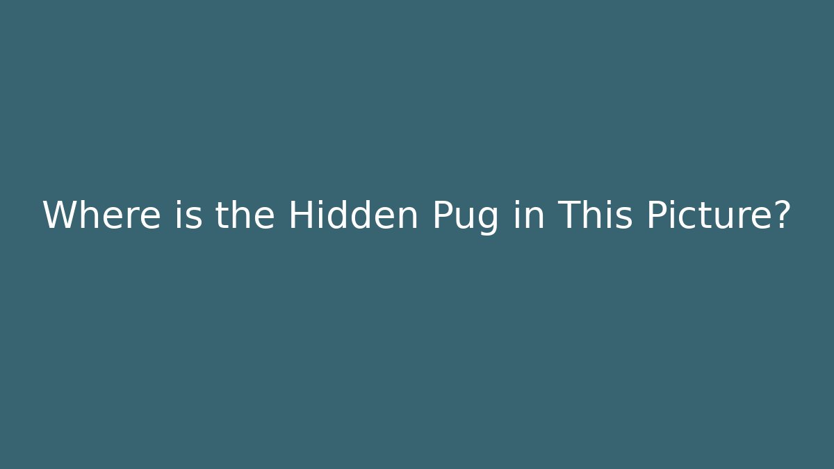Where is the Hidden Pug in This Picture? - Create More Assets