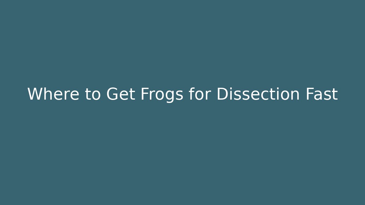 Where to Get Frogs for Dissection Fast
