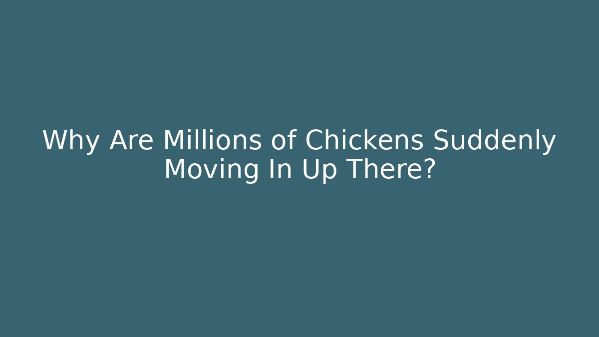 Why Are Millions of Chickens Suddenly Moving In Up There?