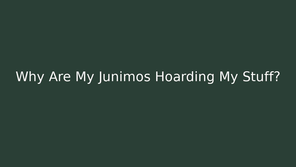Why Are My Junimos Hoarding My Stuff? - Create More Assets