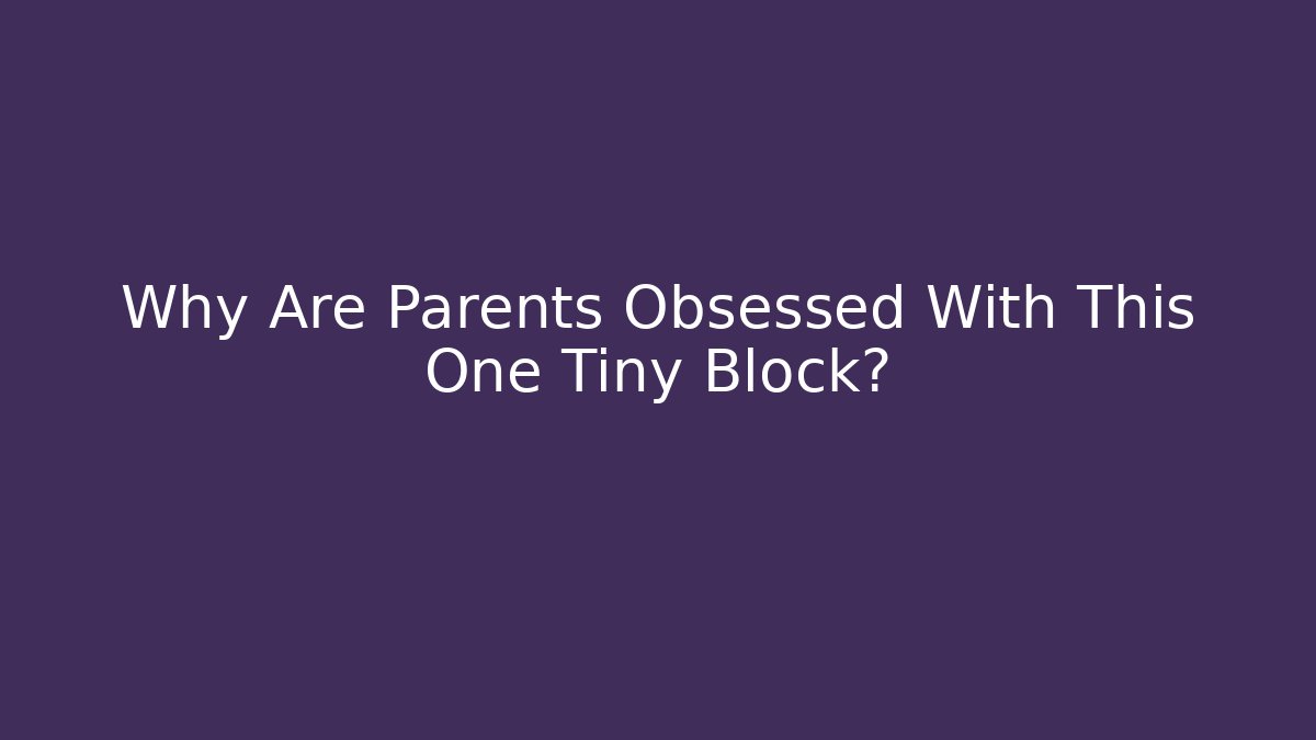 Why Are Parents Obsessed With This One Tiny Block?