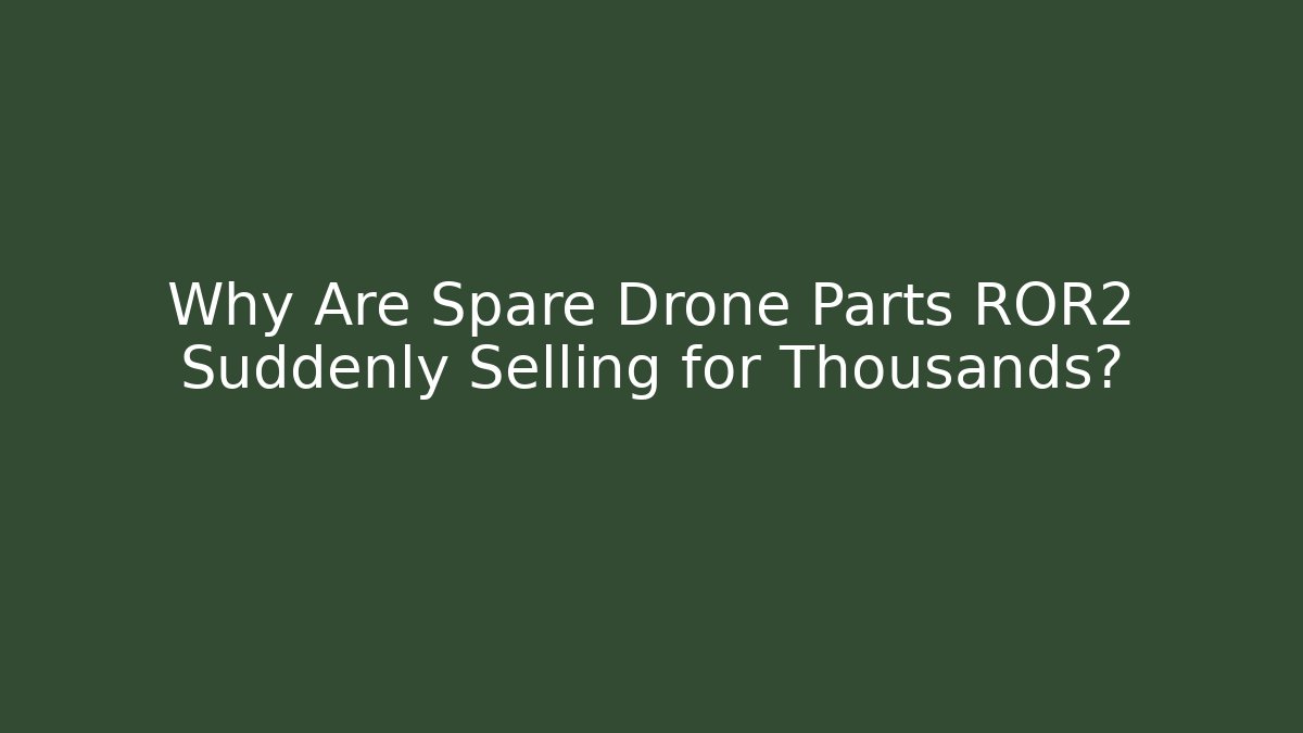 Why Are Spare Drone Parts ROR2 Suddenly Selling for Thousands?