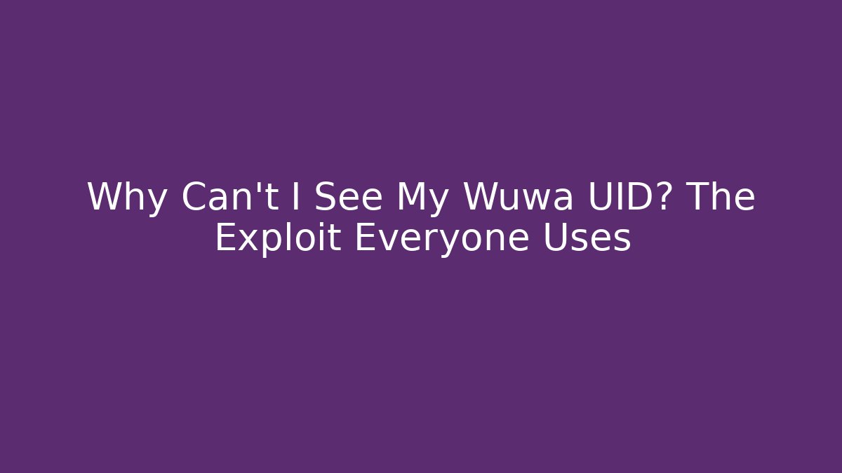 Why Can't I See My Wuwa UID? The Exploit Everyone Uses
