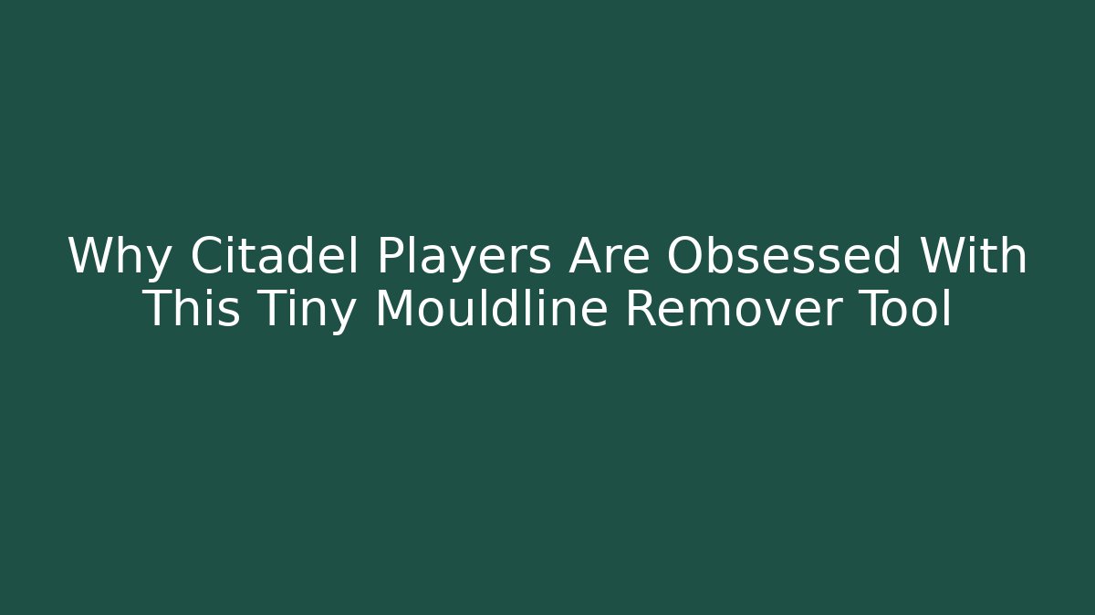 Why Citadel Players Are Obsessed With This Tiny Mouldline Remover Tool