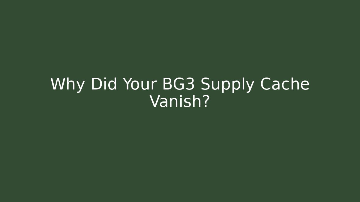 Why Did Your BG3 Supply Cache Vanish? - Create More Assets