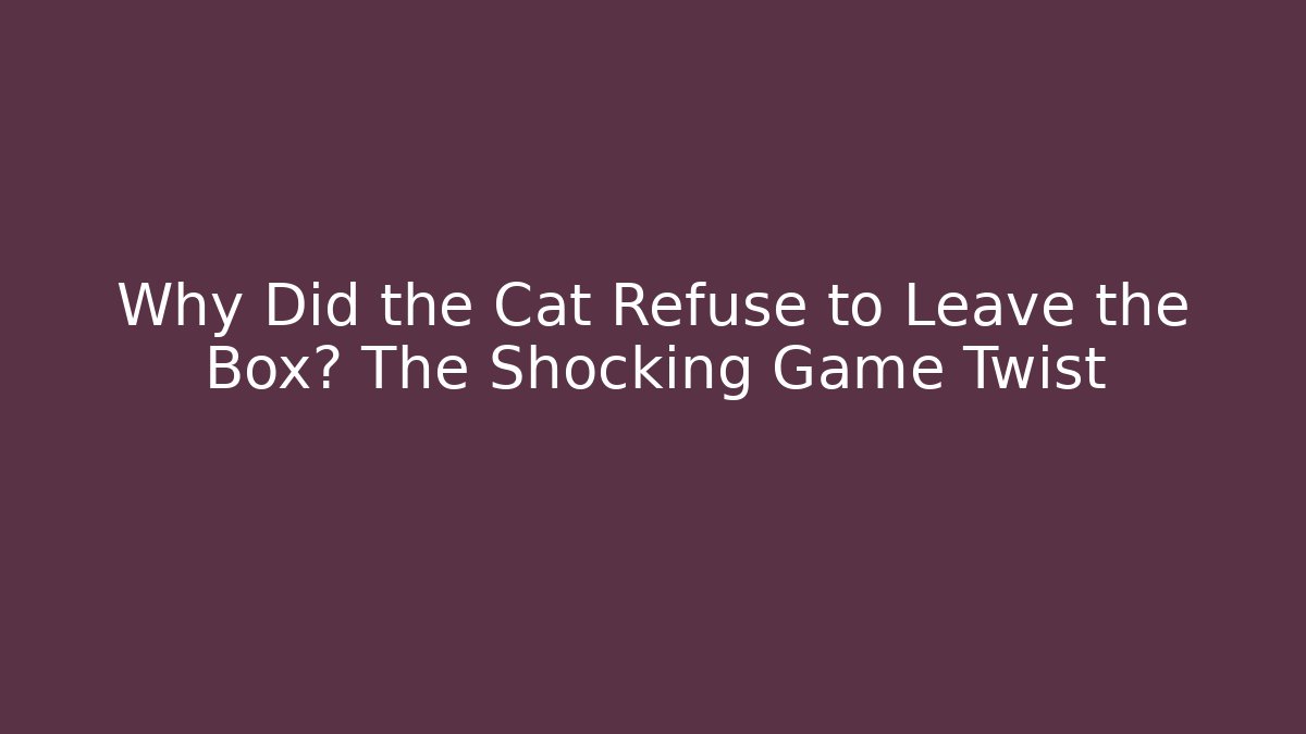 Why Did the Cat Refuse to Leave the Box? The Shocking Game Twist