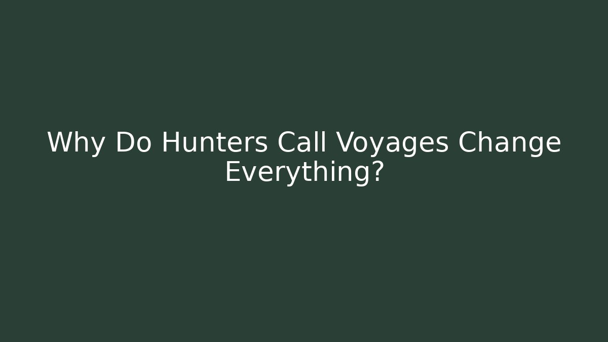 Why Do Hunters Call Voyages Change Everything? - Create More Assets