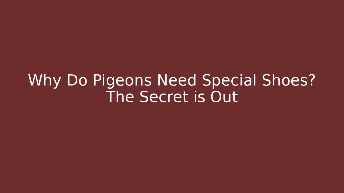 Why Do Pigeons Need Special Shoes? The Secret is Out