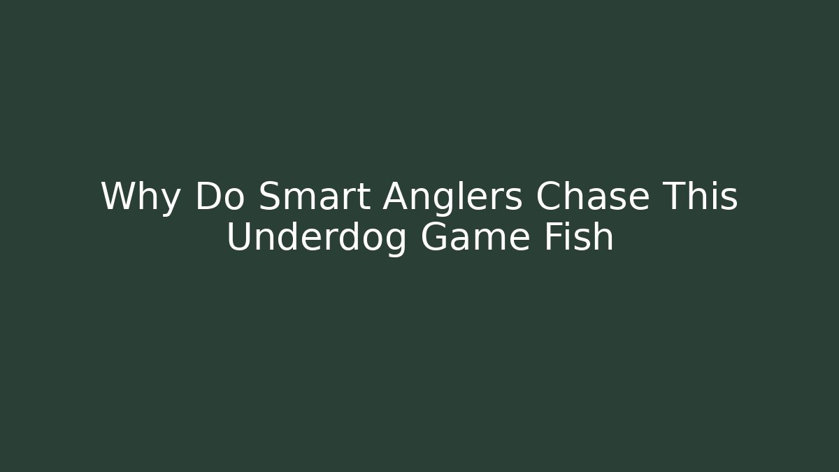 Why Do Smart Anglers Chase This Underdog Game Fish