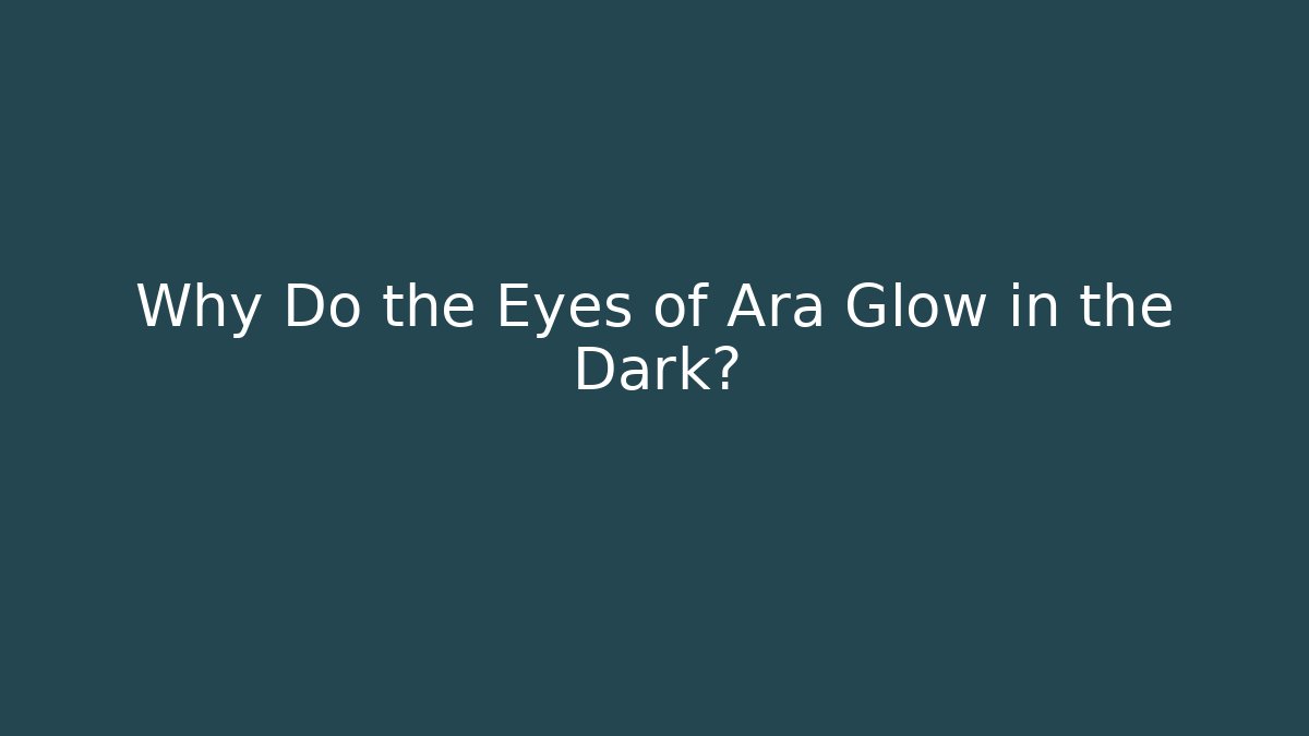 Why Do the Eyes of Ara Glow in the Dark?