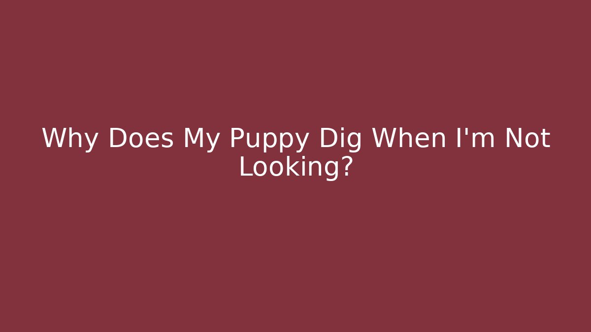 Why Does My Puppy Dig When I'm Not Looking? - Create More Assets