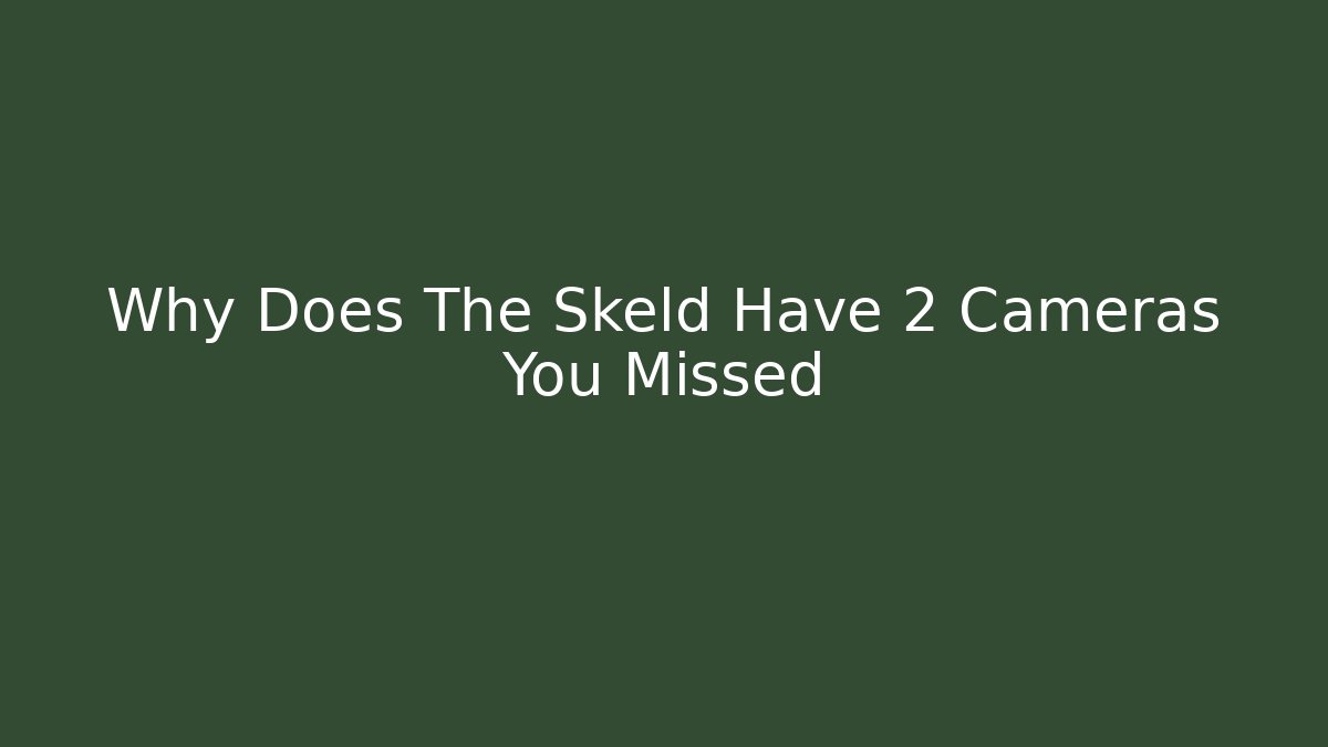 Why Does The Skeld Have 2 Cameras You Missed