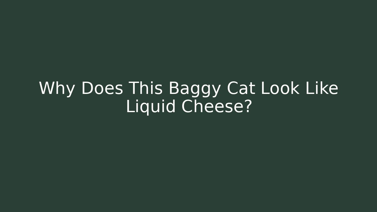 Why Does This Baggy Cat Look Like Liquid Cheese?