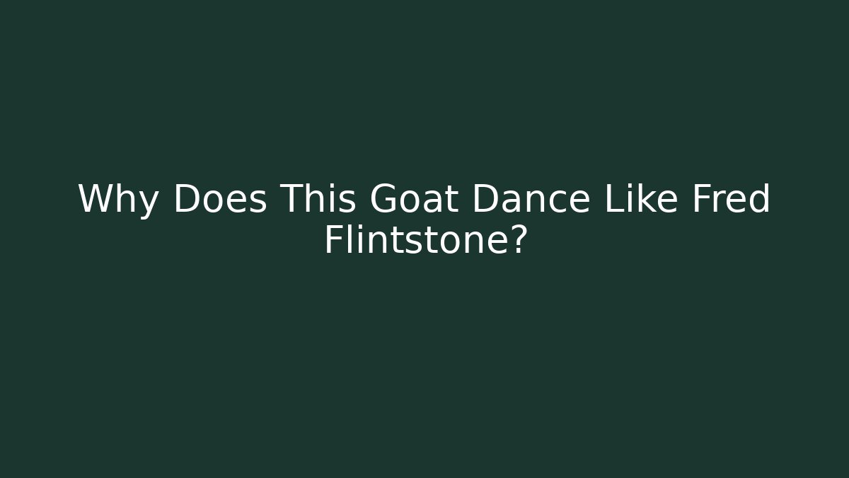 Why Does This Goat Dance Like Fred Flintstone?